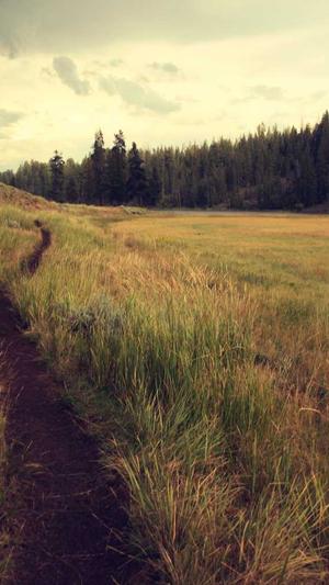 蜘蛛池哪里租的效果好截图5