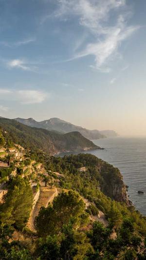 网站建设合同截图3