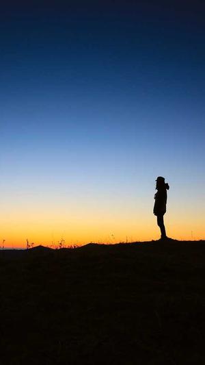 蜘蛛池直接上词截图4