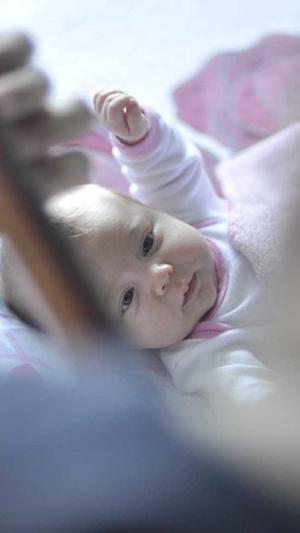 搜外网seo工具截图4