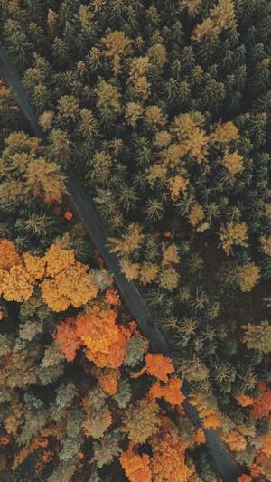 搜狗蜘蛛池引流推广截图5