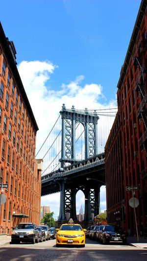 搜狗蜘蛛池出租包月截图1