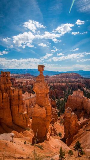 百度秒收录蜘蛛池接单截图5