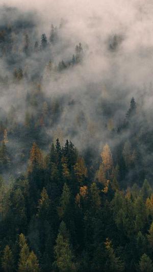 整套seo教程截图1