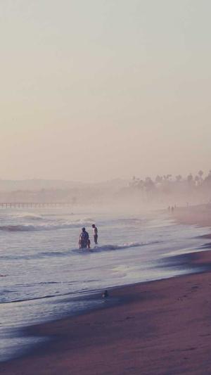 SEO蜘蛛池怎么做截图2