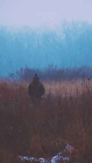 seo代码优化截图2