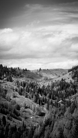 聚合泛目录3.0站群截图4