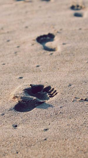 百度seo排名点击器截图2