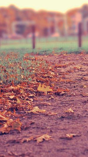 怎么举报泛目录网站截图3