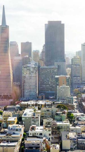 莆田seo优化哪截图4