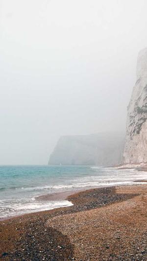 代建蜘蛛池截图3