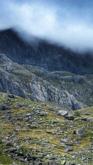 seo优化检查工具截图2