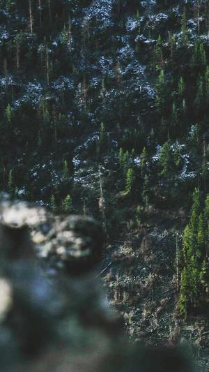 重庆网站建设重庆网站设计截图2