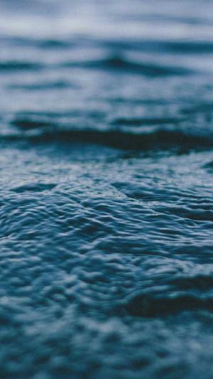 蜘蛛池 做法徽ahua seσ截图1