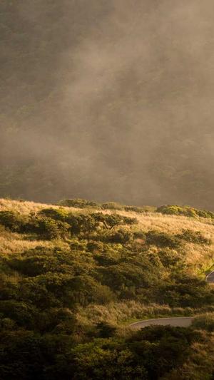 seo博客推广工具截图4