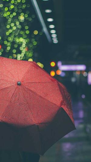 关键词推广工具乐云seo截图3