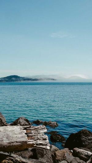 seo网站排名优化公司截图1