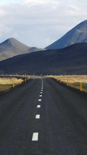 seo工具研发站截图1