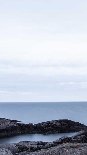 seo免费诊断截图3