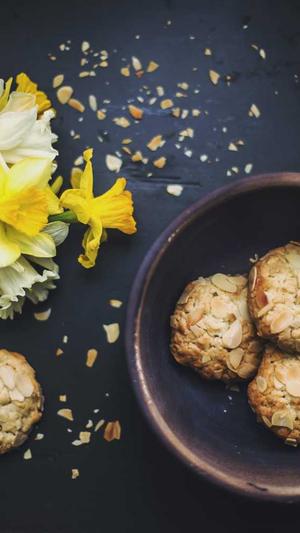 龙少泛目录站群截图3