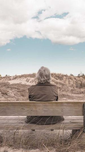 建设局网站截图3