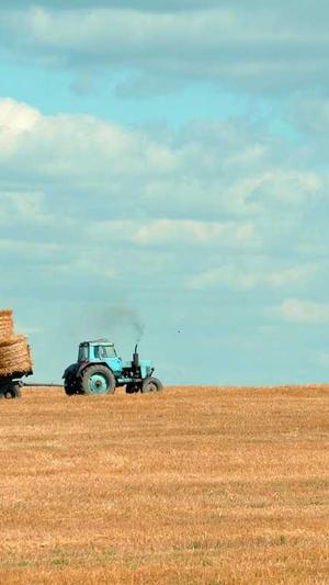 重庆seo排名优化公司截图1