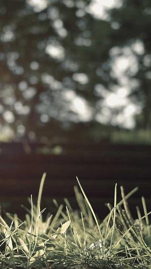 seo排名工具薇欣enuo6688棒截图1