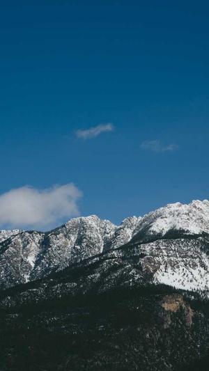 网站建设平台截图4