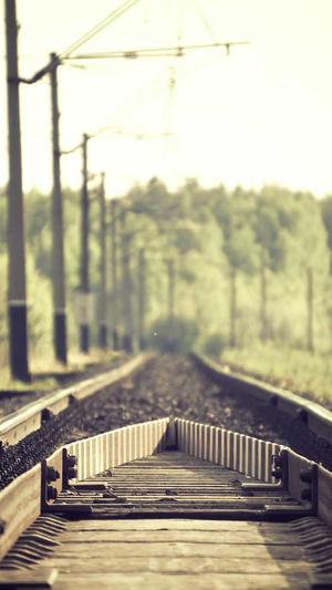 深圳seo技术截图1