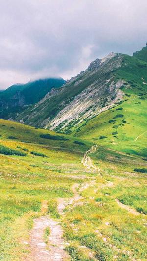 seo代码优化截图4