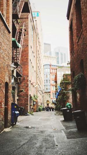 网站建设功能表截图2