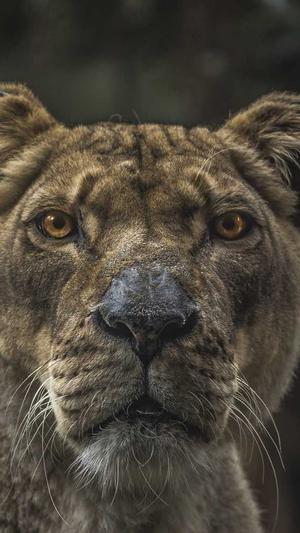 蜘蛛池谷歌排名截图2