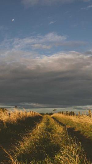 莆田seo优化哪截图3