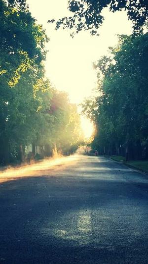 建设集团网站截图2