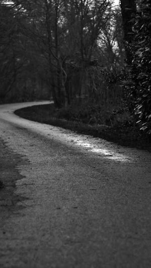 网站建设seo优化截图2