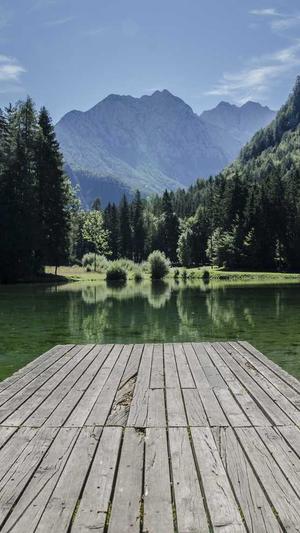 深圳seo技术截图2