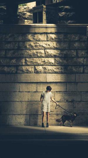 Linux蜘蛛池程序截图2