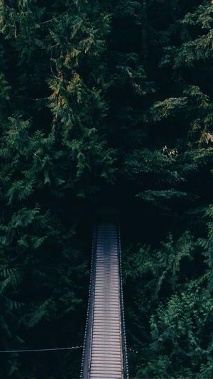 SEO入门教程截图3