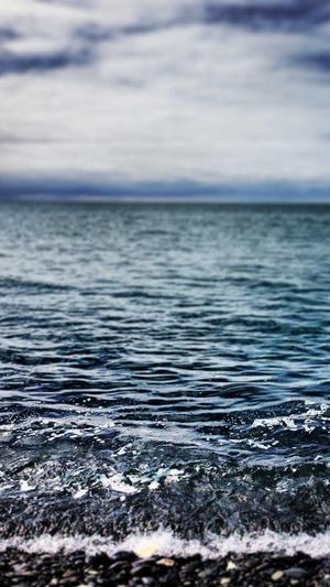 论坛网站建设截图1