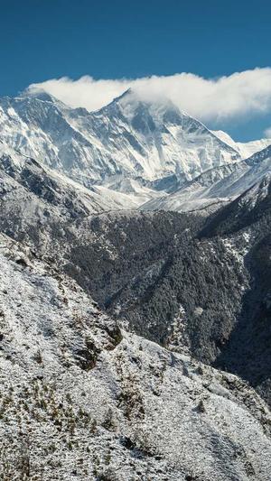 蜘蛛池爬虫技术怎么学截图3