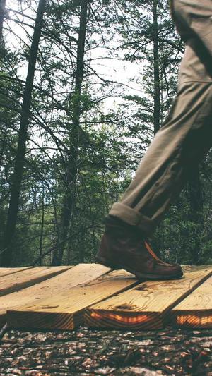 网站建设价格截图2