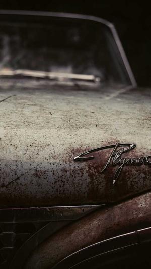 蜘蛛池建造程序截图4