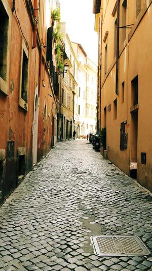 seo网站工具截图2