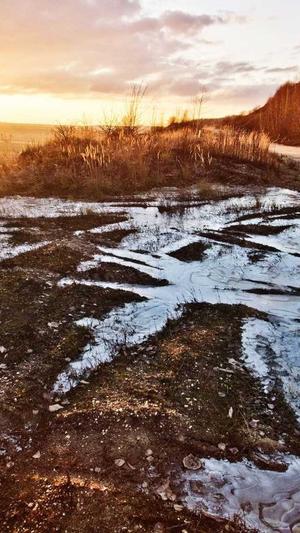 seo自动生成工具霸屏截图2