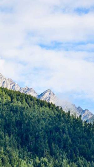 厦门seo顾问服务截图1