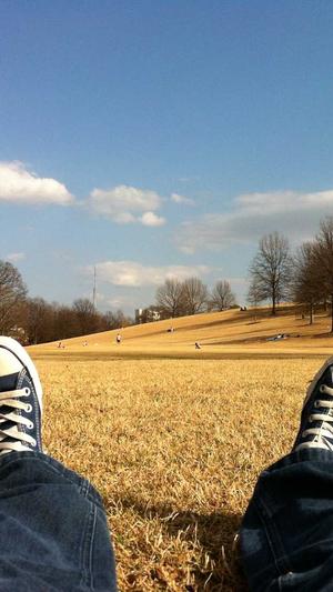 seo优化推广多少钱截图1