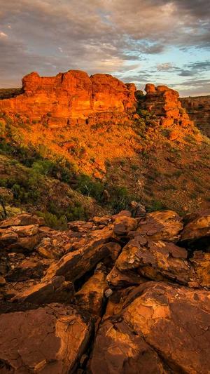 龙少泛目录站群截图1