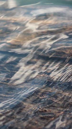 蜘蛛池工作原理截图1