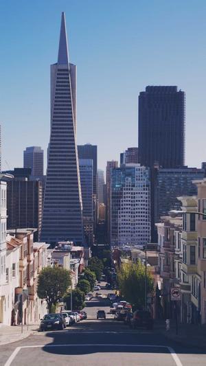 代建蜘蛛池截图2