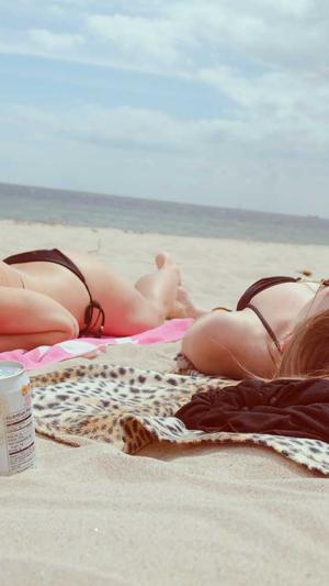 怎么搭建网站蜘蛛池截图1